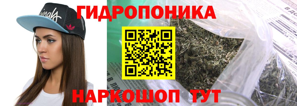 Рузаевка  Каннабис ГИДРОПОН  Шишки марихуана индика  Конопля OG Kush  Вход с VPN 